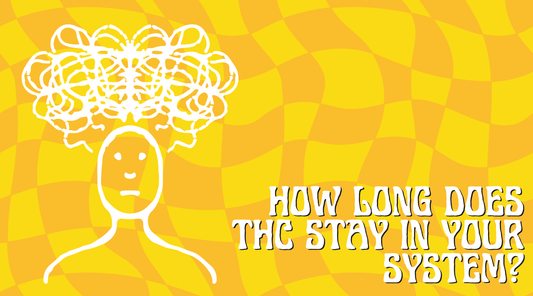 An drawing of a confused person on a yellow and orange checkered background with text that reads "how long does THC stay in your system?"