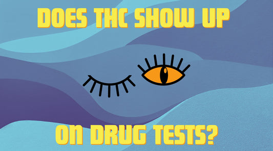 A wavy blue background with a winking eye in the foreground and text that reads "does delta-9 THC show up on a drug test?"