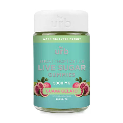 THCA Live Sugar Gummies 5000MG - Guava Gelato | Urb