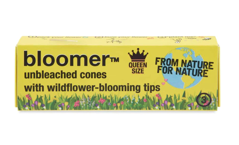 Bloomer Queen Size Paper Cones