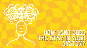 How Long Does Delta-9 THC Stay in Your System?