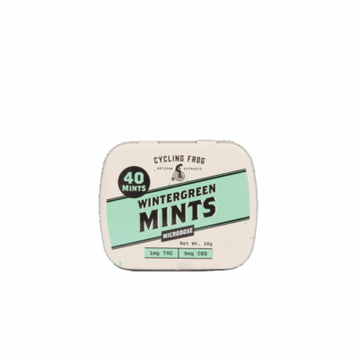 Cycling Frog Wintergreen