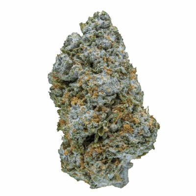 grand daddy purple destino farms thca