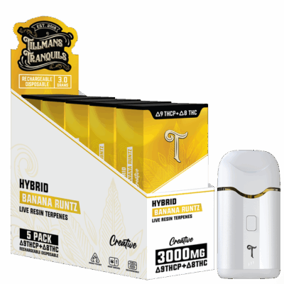 Tillmans Tranquils Disposable Vape – 3g THCp + D8