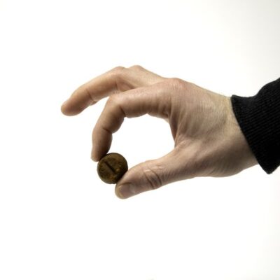 Lazarus Naturals Joint Support CBD Dog Chews - Salmon