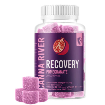 CBD Gummies for Recovery – Pomegranate