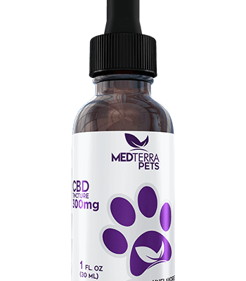 CBD Pet Tincture – Unflavored