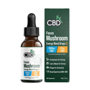 CBG + CBD Oil Tincture – Focus Mushroom Blend