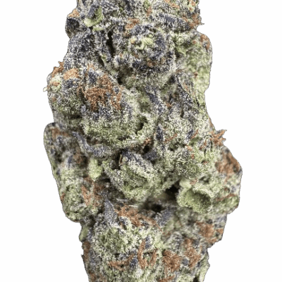 Destino farms flower 3.5 Indoor – Ice Cream Cake (Indica)