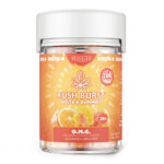 Kush-Burst-THC-Edible-D8-Gummies-Orange-Mango-Guava