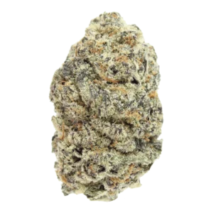 SLURRICANE