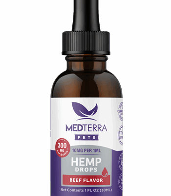 cbd tincture pets beef 300mg