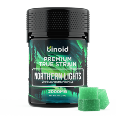 Northern Lights