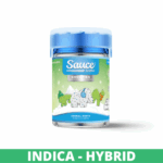 Sauce Smokes Shorties Joints 5pk Animal Mintz