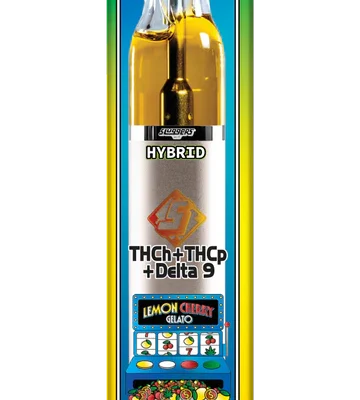 Sluggers Hit Gram Slam Disposable 2G