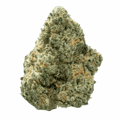 Destino Farms 7g Indoor Exotic Flower - Jack Herer (Sativa)