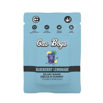 Blueberry_Lemonade_Single_Travel_Pack