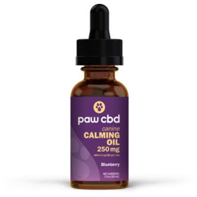 cbdMD Calming CBD Oil for Dogs – Blueberry 250mg