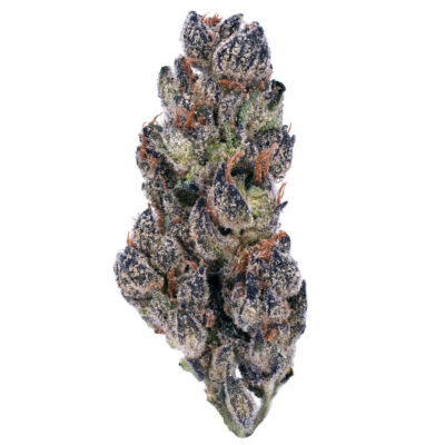 Destino Farms 7g Indoor Exotic Flower - Cookies N Cream (Hybrid)