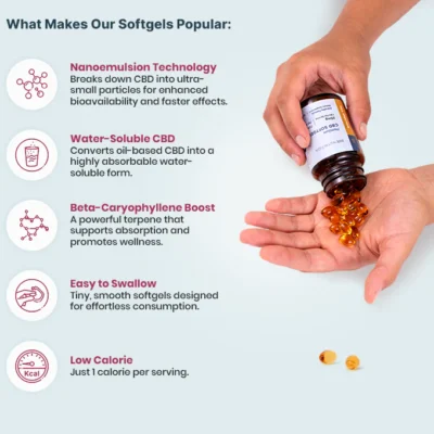 Joy Organics Full Spectrum CBD Everyday Formula Softgels 25mg