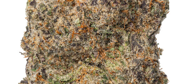 Destino Farms 7g Indoor Exotic Flower Cookies N Cream Hybrid