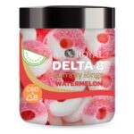 RA Royal CBD Delta 8 THC + CBD Gummies Watermelon