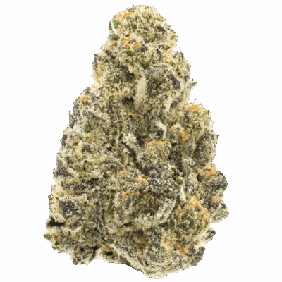 Destino Farms 3.5g Indoor Exotic Flower THCA Garlic Glaze Indica