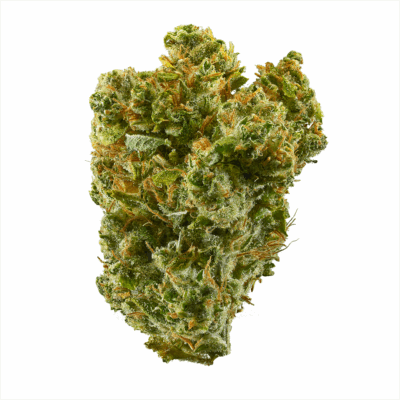 Destino Farms 7g Indoor Exotic Flower Super Silver Haze Sativa