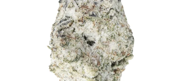 Destino Farms Diamond Snowcaps THCA 3.5g, Girl Scout Cookies Indica