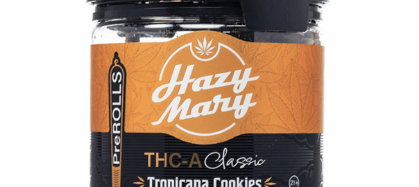 Hazy-Mary-THCA-Classic-Pre-Rolls-50G-Tropicana-Cookies-Sativa