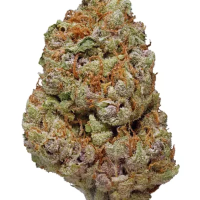 Destino Farms indoor exotics THC-A FLOWER 3.5 gr SPACE KANDY