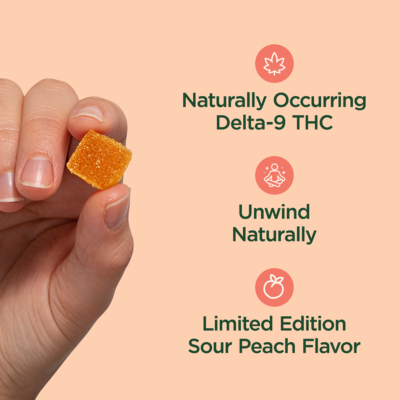 CBDistillery 5mg THC + 25mg CBD Gummies - Sour Peach
