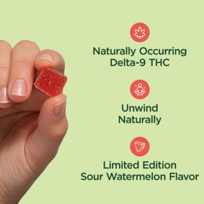 CBDistillery Limited Edition Full Spectrum THC + CBD Gummies Sour Watermelon – 30 Count