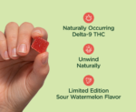 CBDistillery 5mg THC + 25mg CBD Gummies - Sour Watermelon