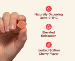 CBDistillery Very Cherry 5mg THC + 75mg CBD Elevated Relaxation Gummies - Cherry