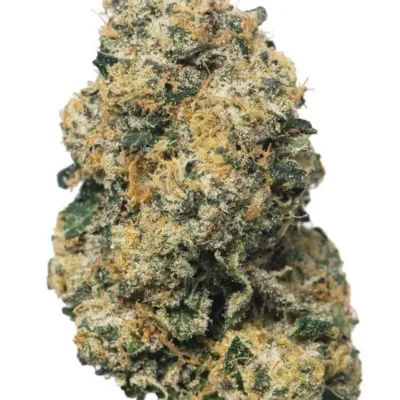Destino Farms Exotic 3.5g Flower - Sherbanger hybrid