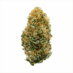 Destino Farms Sungrown Flower 3.5g – White Widow sativa