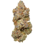 West Coast Exotics – 1.5g THC-P Indoor Flower Og Kush