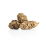 West Coast Exotics – 1.5g THC-P Indoor Flower Zour Lemons