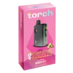 Torch_Pulse_4G_Rainbow_Belt