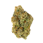 Destino Farms Indoor Exotic THCa Flower Bacio Gelato Hybrid 7g premium indoor