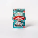 Astro Eight Magic Mushroom Gummies – Dragonfruit