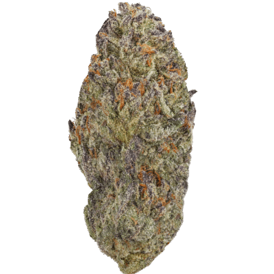 Destino Farms Indoor Exotic THCa Flower 3.5g Papaya Punch Indica