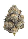 Destino Farms Indoor Exotic THCa Flower Purple Churro Hybrid 3.5g premium indoor