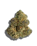 Destino Farms Indoor Exotic THCa Flower Tahoe OG Indica 3.5g premium indoor
