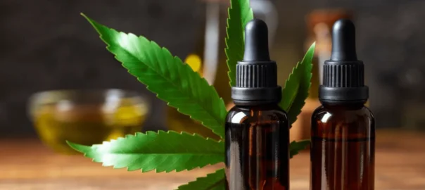 What Is CBD? A Comprehensive Guide for Beginners