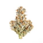 Destino Farms Sungrown Flower – White Truffle (Indica) | 3.5g